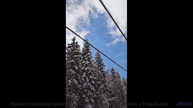 Мелодия, которая звучит как 'я люблю тебя' без слов... - Calf Love (ID 754) -- Lobo Loco -- DREAM OF
