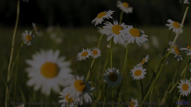 Природа и музыка здесь - сильнейший удар по эмоциям - One Man Book  Good News People -- Independent