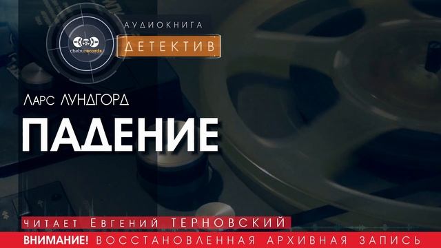 ПАДЕНИЕ - Ларс ЛУНДГОРД (читает Евгений ТЕРНОВСКИЙ) | ДЕТЕКТИВ аудиокниги слушать