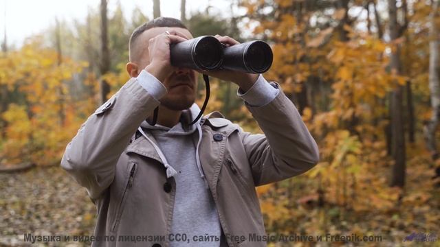 Клип, созданный квантовым компьютером - будущее наступило! - Searching For Guidance -- Kirk Osamayo