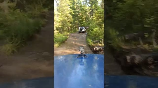 VID_20250615_205621_799.mp4