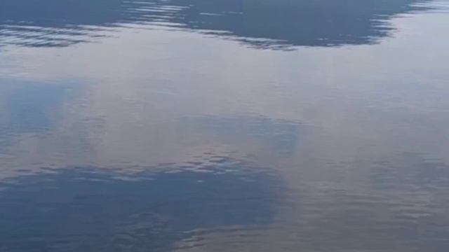 Утро на берегу Телецкого озера