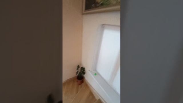 WhatsApp Video 2025-06-16 at 13.32.42