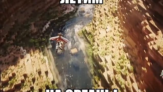 Летим на органы
