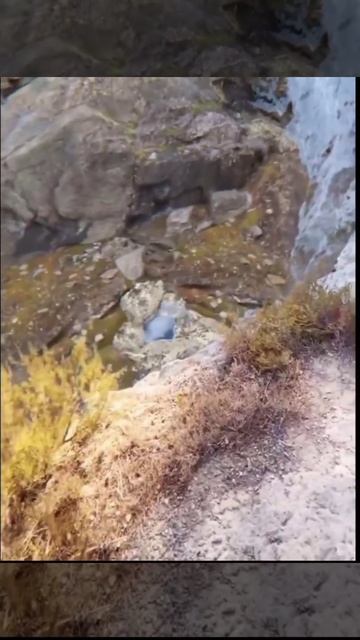Безумству храбрых