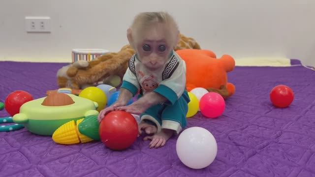 Обезьянка крошка БУКАШКА Попила папу обняла Игрушками играла Папа кормить молоком из соски