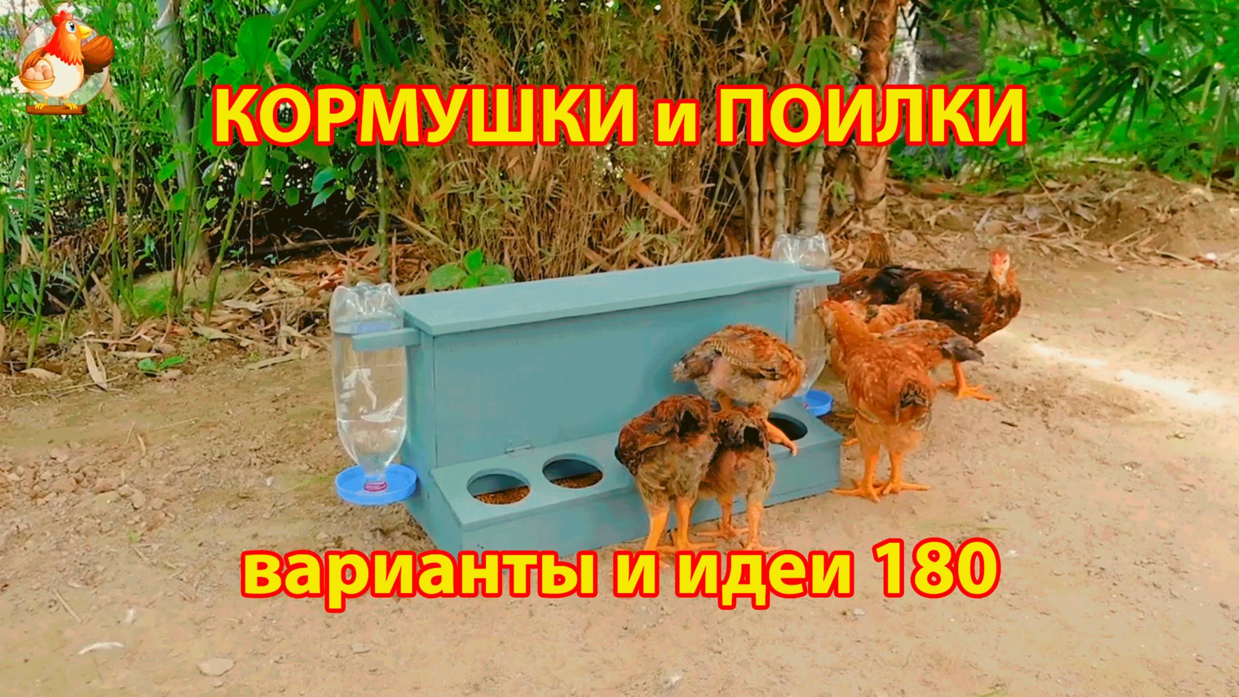 Кормушки и поилки для кур своими руками (180) 🪚✂️ Пошаговая инструкция как сделать 🐔 🐓❣️