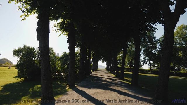 Эта мелодия программирует ваше подсознание - осторожно! - Vibes of the Universe (ID 1394) -- Lobo Lo