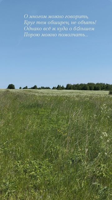 16.06.25 АЗ #ниднябезрифмы