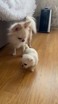 Ну и что мне с тобой делать?