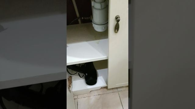 VID_20250616_134226