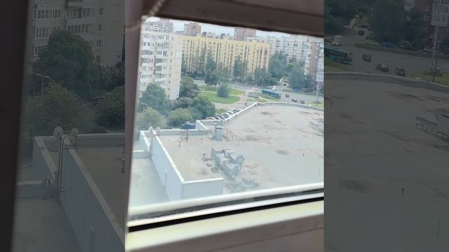 хобби королей