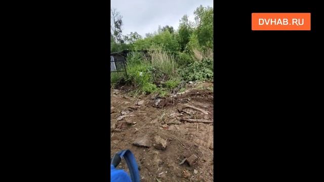 Против застройки Первого микрорайона выступают сотни человек