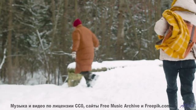 Леса танцуют в такт каждой новой ноте - If-You-re-Wondering -- Ketsa -- The New World