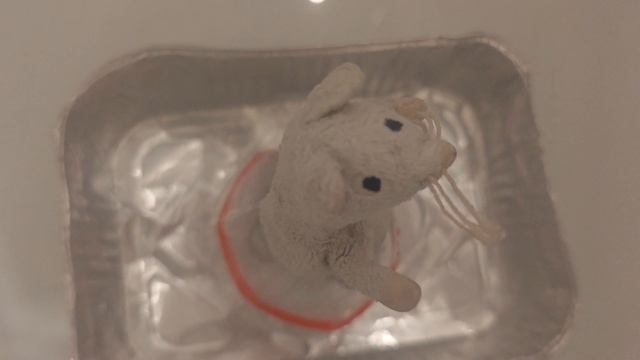 Худыша на лодке в озере