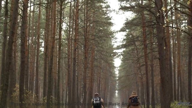 Природные кадры, которые невозможно забыть - смотрите до конца! - Mother Ship Trip ft. The Polish Am
