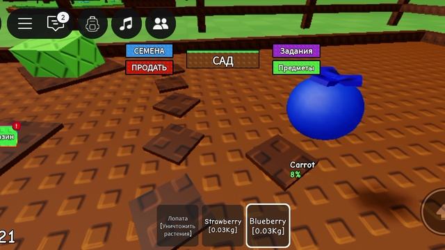 играю в роблоксе в вырасти сад