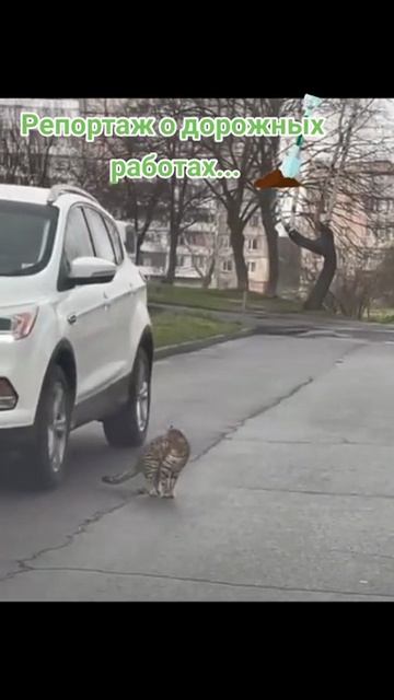 ЯМОЧНЫЙ РЕМОНТ