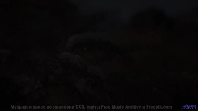 Ты НИКОГДА не слышал ничего подобного! - The Cowboys Lament -- Ayla Nereo -- Play Me a Time