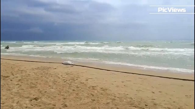 Анапа пляж Витязево сегодня 16 июня 2025. Море штормит, погода в Анапе сейчас. Мазута нет на пляже