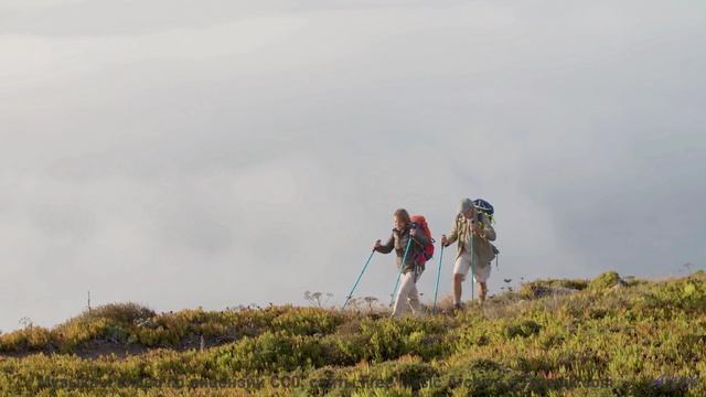 Звук раскрывает природу так, что перехватывает дыхание - Neoene (XXIV) -- opo -- Estudios Indigenifo