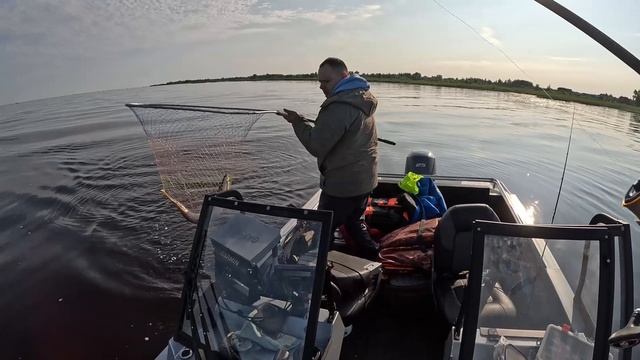 Тест новой лодки Орион 46 Фиш. Первые рыбы этого сезона.