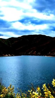 Что осталось в кадре