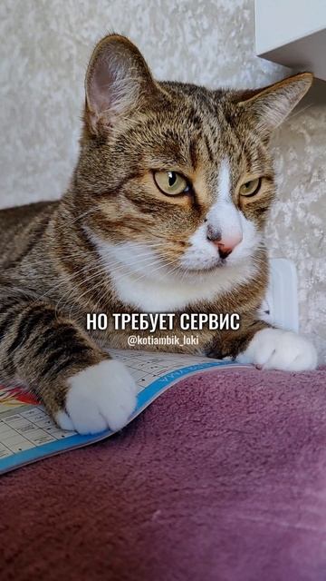 Разгадываю кроссворд😸