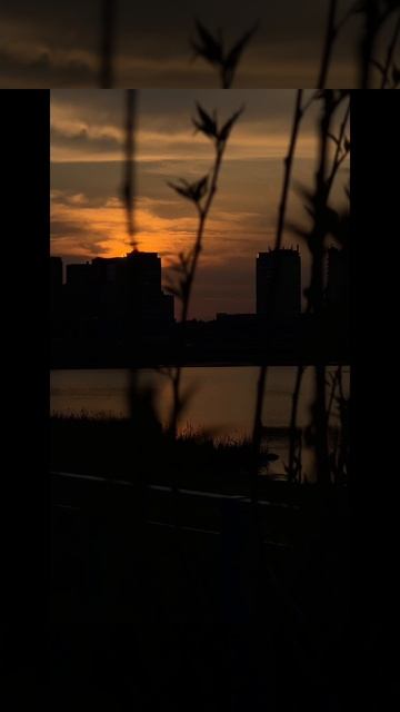 Пробежка, Тюмень.