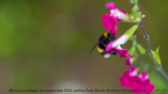 Видео, которое зарядит вас энергией на неделю вперед! - The Other Side -- Nihilore -- Broken Parts