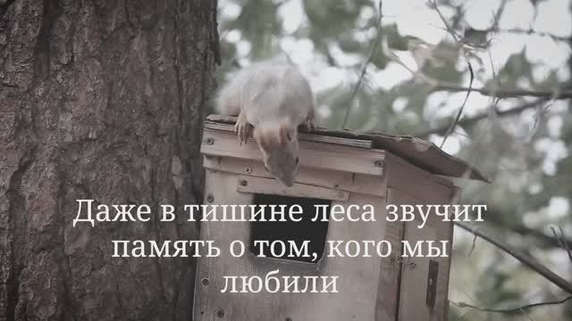 Lacrimosa Леса
