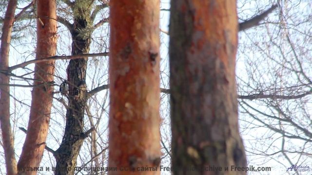 Поля и ритм вместе дарят личную свободу - Lay In The Long Grass With Me -- Hope and Social -- Yorksh