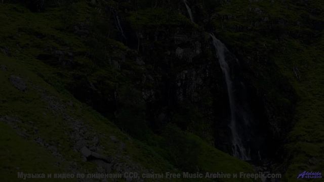 Хочется остановить время, пока звучит такая музыка - Лебедь-шипун -- POVALISHIN DIVISION -- Выпускай