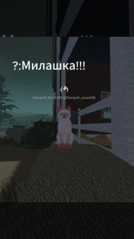 Это наша доча Совуша:3