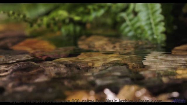 Эта музыка настолько красива, что хочется плакать - Rayuela (LIII) -- opo -- Estudios Indigeniformes