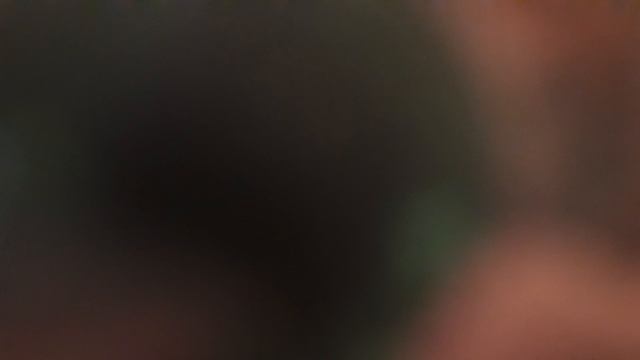 коты воители клип васстань _бич😘.