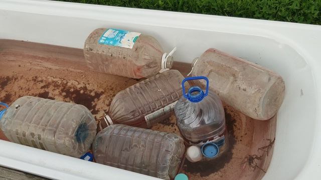 Капельный полив в стиле "Примитивизм".