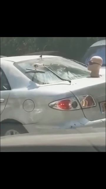 ДИЗАЙНЕРСКИЙ ОМЫВАТЕЛЬ