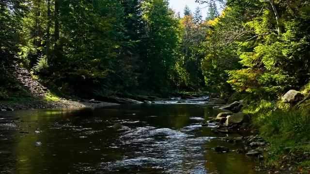 Успокаивающие звуки природы и журчание водички часть 7