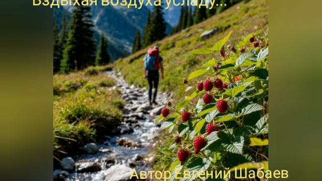 Вздыхая воздуха усладу... Автор Евгений Шабаев