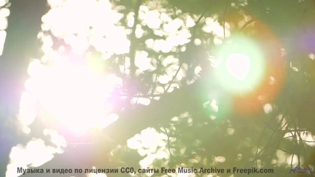 Когда пляж становится сценой, а волны - зрителями! - Earworm in the morning -- A Tape Full of Mistak