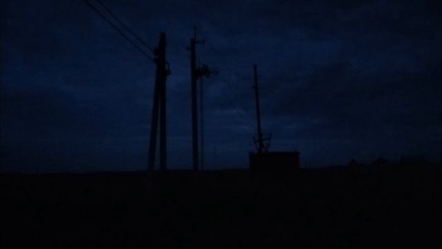 Совы, комар и почти сплю.