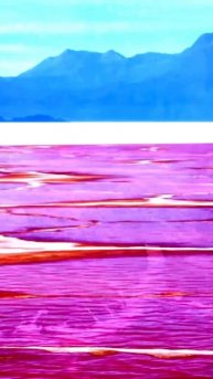 Секунды, пойманные на камеру