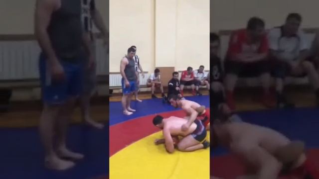 Тренировка стафилококка от красавелл.🦠