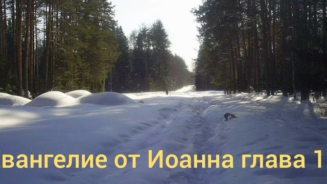 Библия Евангелие от Иоанна глава 12