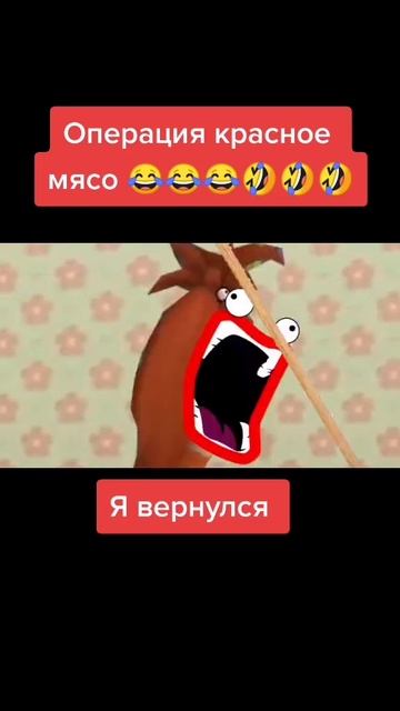 Барбоскины рпт мой первый выпуск 😂😂😂😂