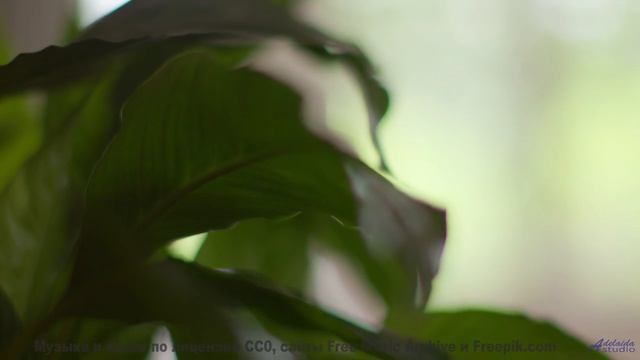 Эта мелодия - как шёпот любимого на рассвете... - Bed4 -- Ketsa -- Bedding