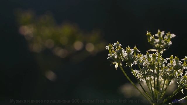 Вы не сможете усидеть дома после этого видео! - 01 Fortune -- Ketsa -- Nothing Left Behind