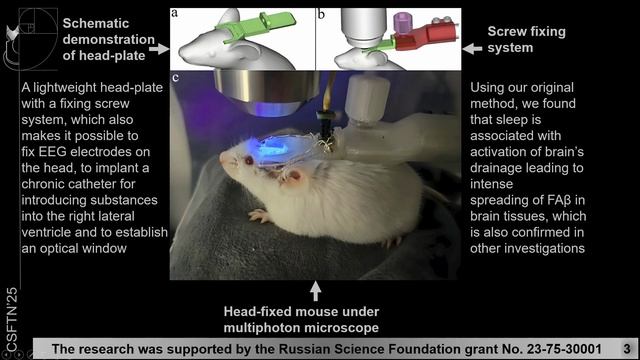 A Method for Real-Time Brain Imaging in Unrestrained Mice Across Sleep-Wake States