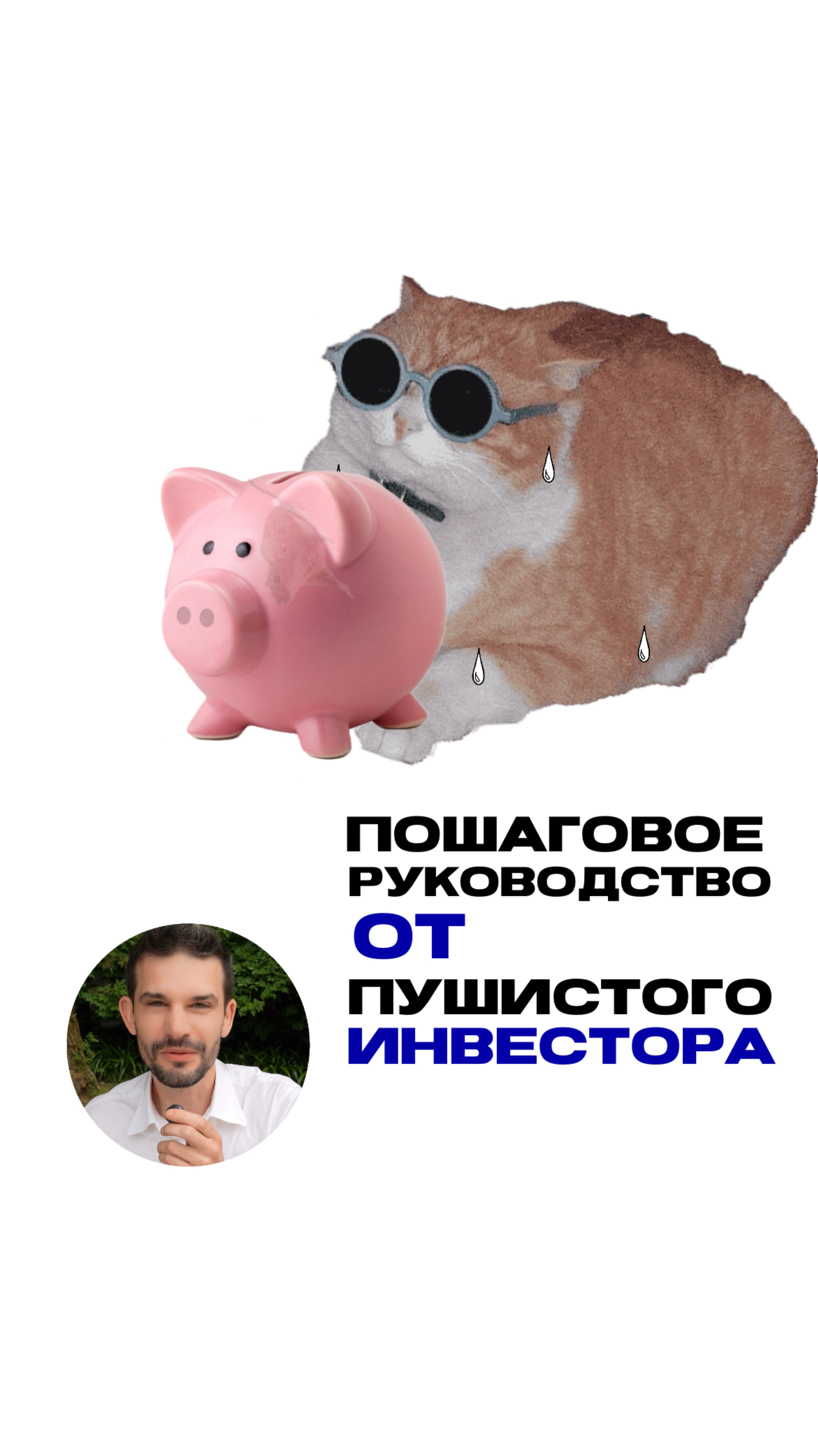 Пошаговое руководство от пушистого инвестора